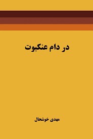 در دام عنکبوت