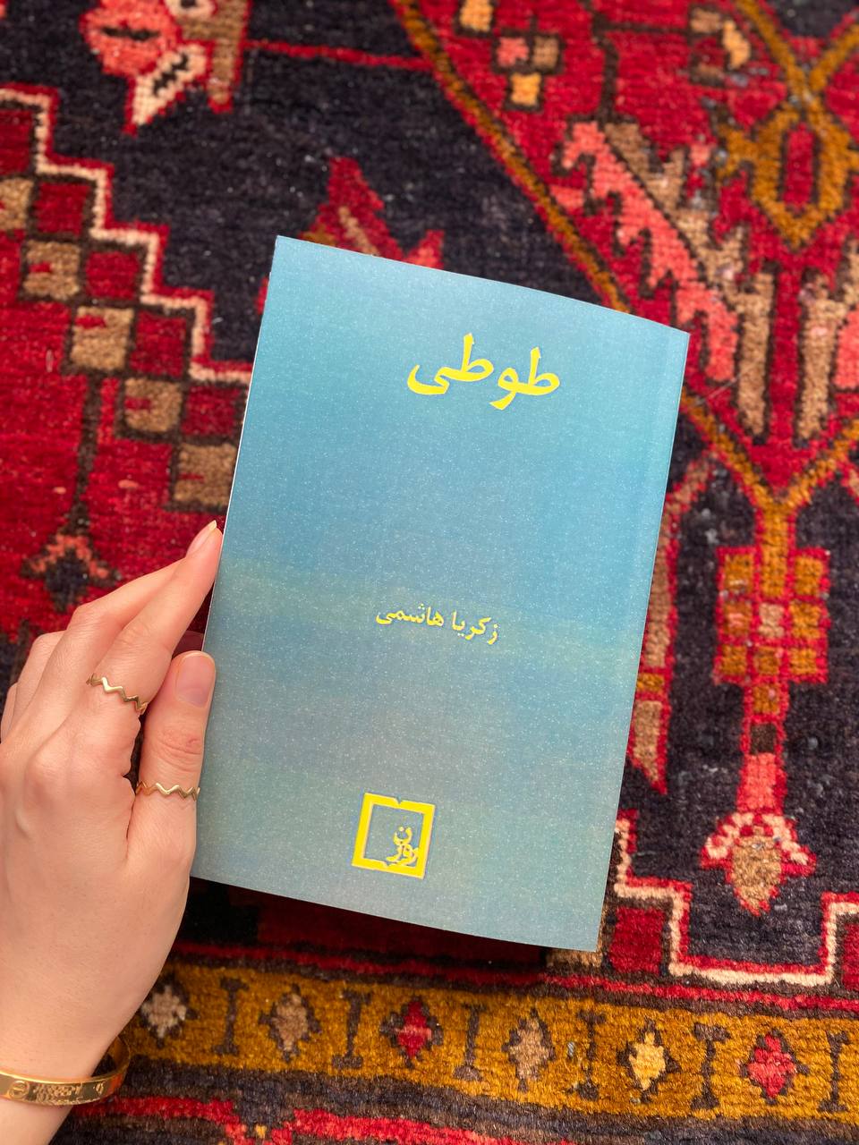 طوطی