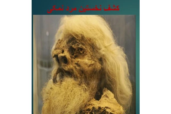 تحقیق مردان نمکی