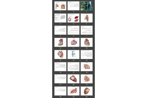 پاورپوینت vascular