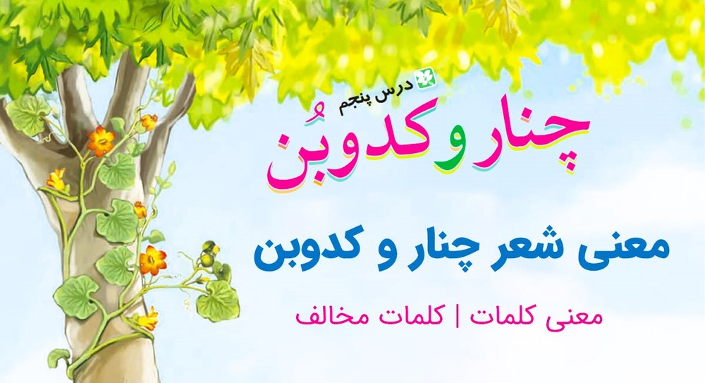 پاورپوینت درس پنجم چنار و کدوبن/گلدان خالی/ زیرکی فارسی پایه پنجم دبستان - پاورداک