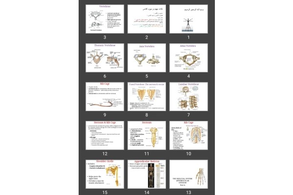 پاورپوینت Skeletal system