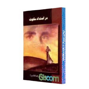 در امتداد سکوت