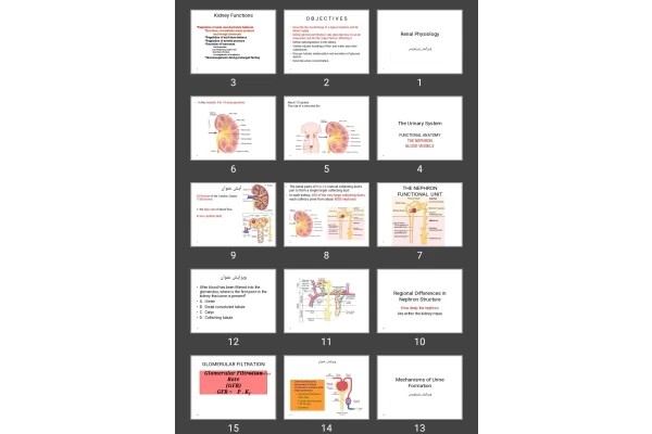 پاورپوینت Renal Physiology فیزیولوژی کلیه