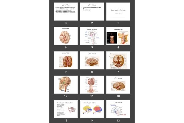 پاورپوینت Blood Supply Of The Brain