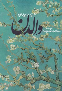 والدن شومیز / روزنه