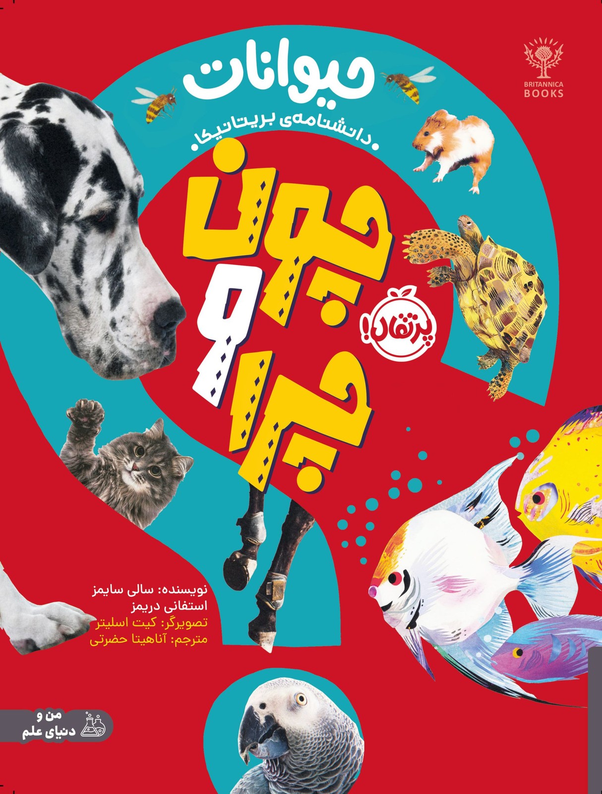 چون و چرا (بدن ما) (پرتقال)