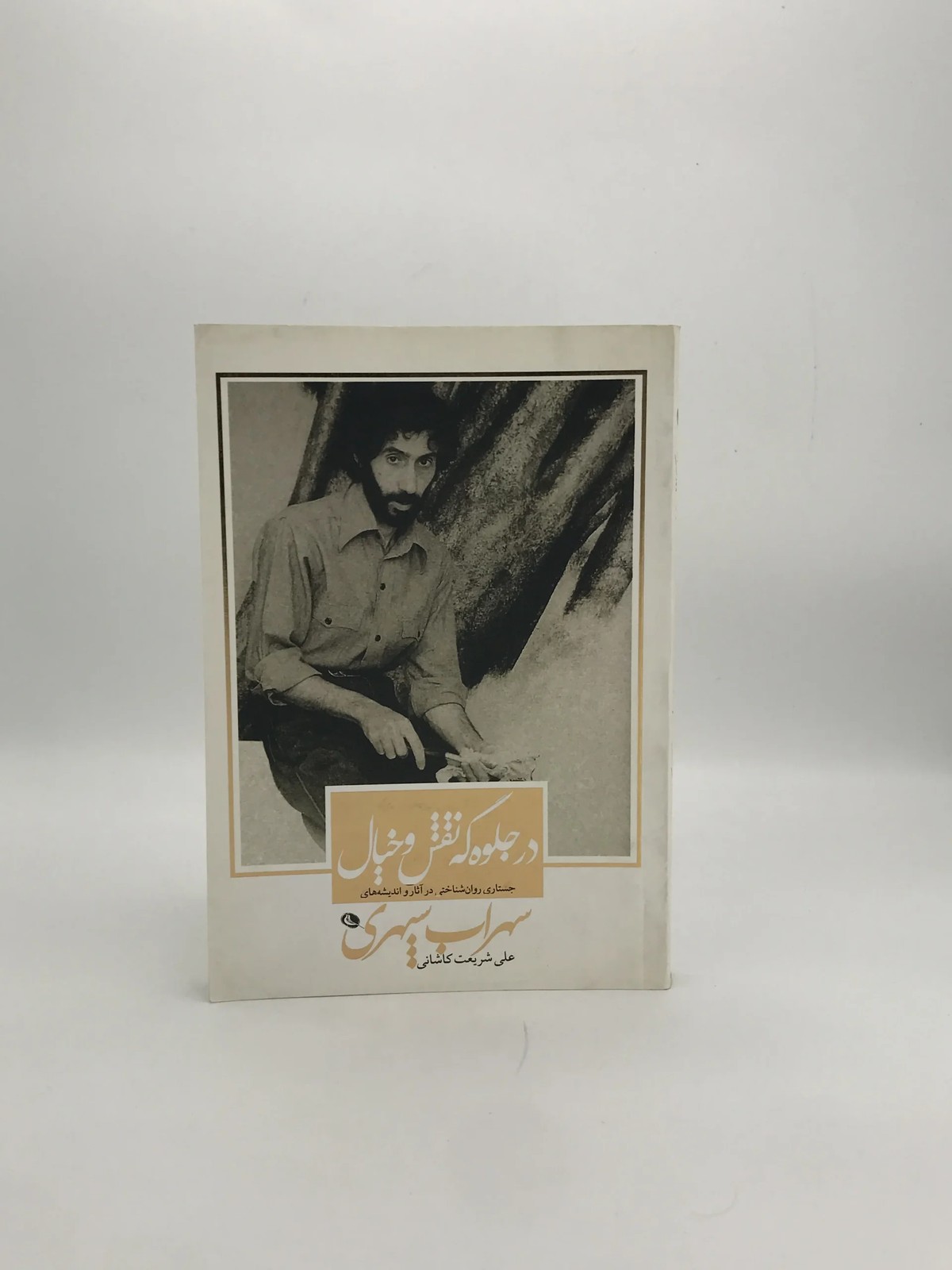 در جلوه گه نقش و خیال نوشته علی شریعت کاشانی
