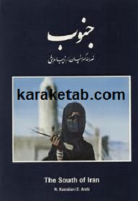 جنوب