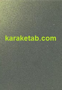 مبارزات پرولتری در آمریکا