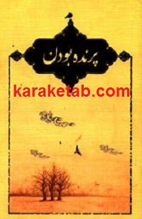 پرنده بودن