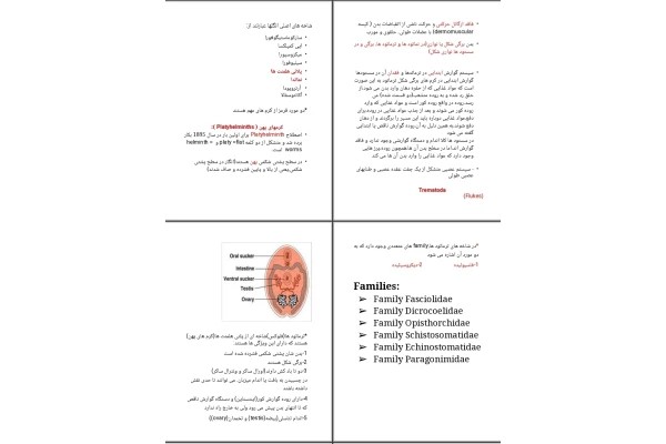 جزوه انگل