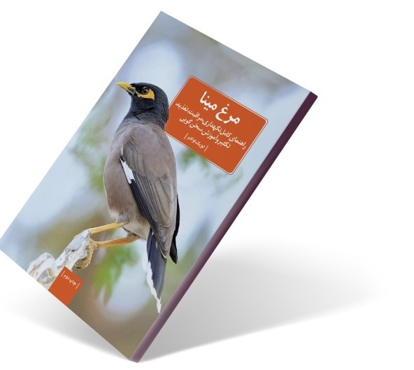 کتاب مرغ مینا
