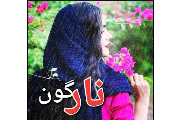 رمان نارگون
