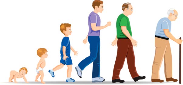 تحقیق پرورش نوزادان تيزهوش