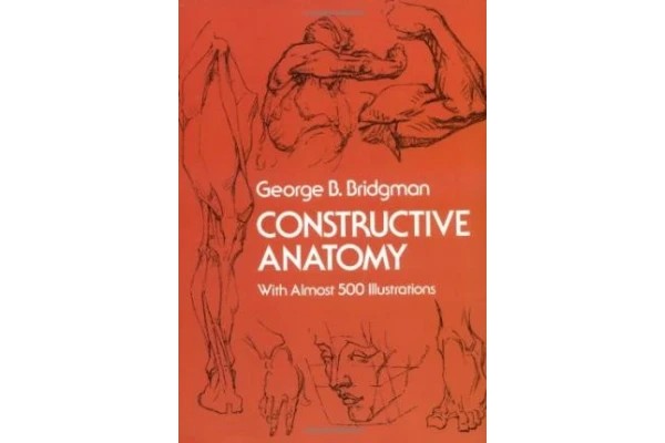 Constructive Anatomy