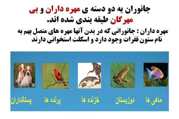 پاورپوینت بی مهرگان پایه چهارم دبستان