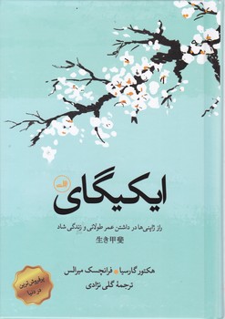ایکیگای / ثالث