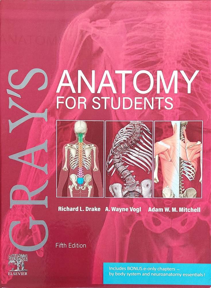 Gray's Anatomy for Students