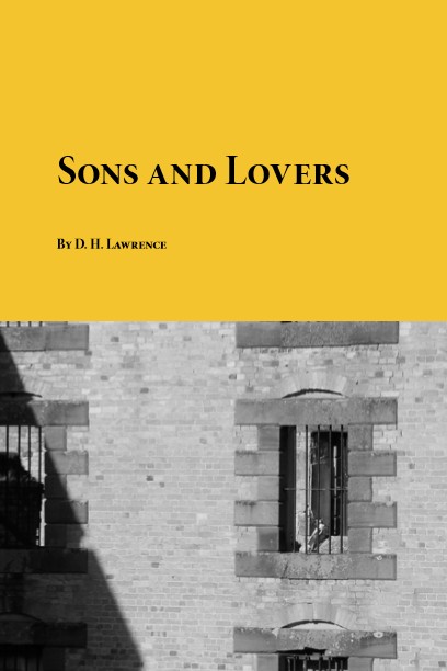 کتاب رمان انگلیسی پسران و عاشقان اثر دی اچ لارنس Sons and Lovers by D H Lawrence