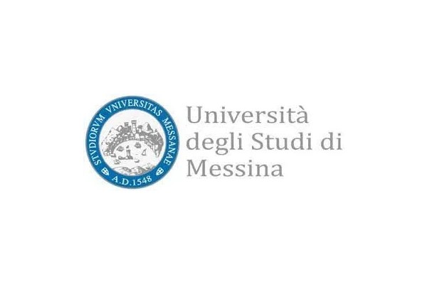 انگیزه نامه رشته Engineering and Computer Science دانشگاه مسینا ایتالیا