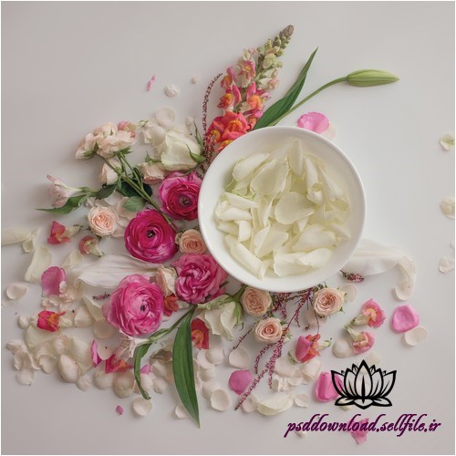 بک دراپ نوزاد گل رز -کد 3006 - اسمارت فایل