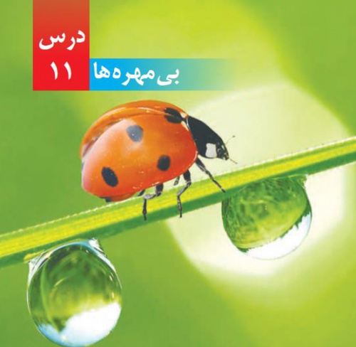 بی مهرگان - اسمارت فایل