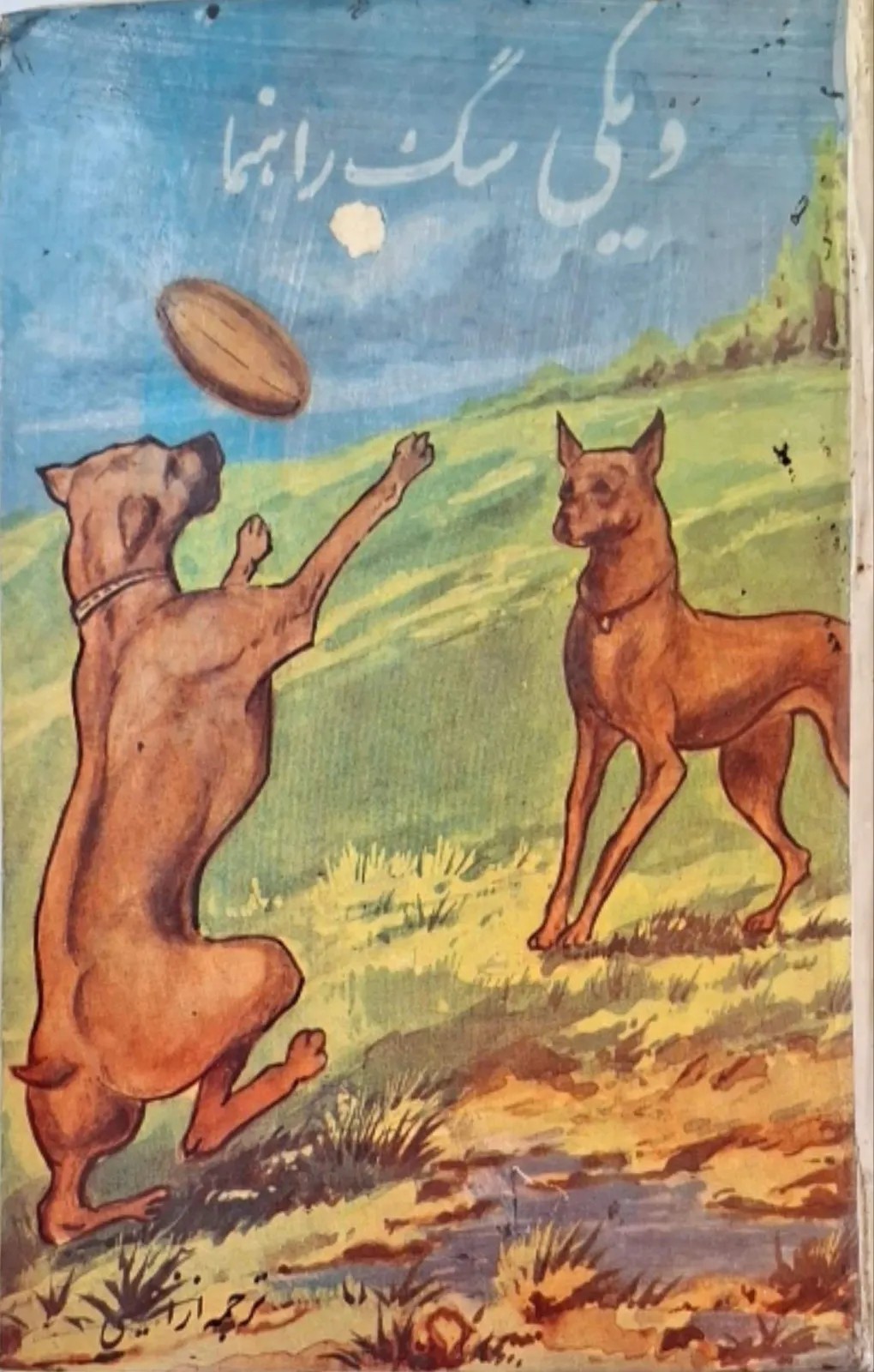 ویکی، سگ راهنما