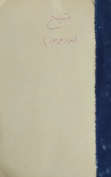 شبح (مرد مرموز)