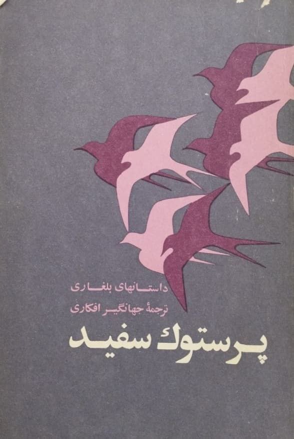 پرستوک سفید