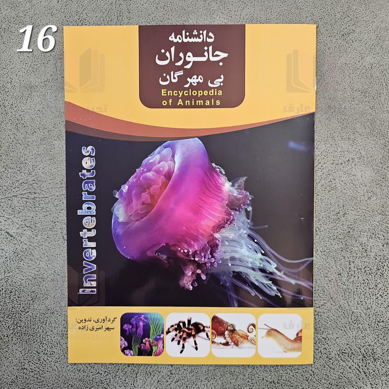 دانشنامه جانوران بی مهرگان 16