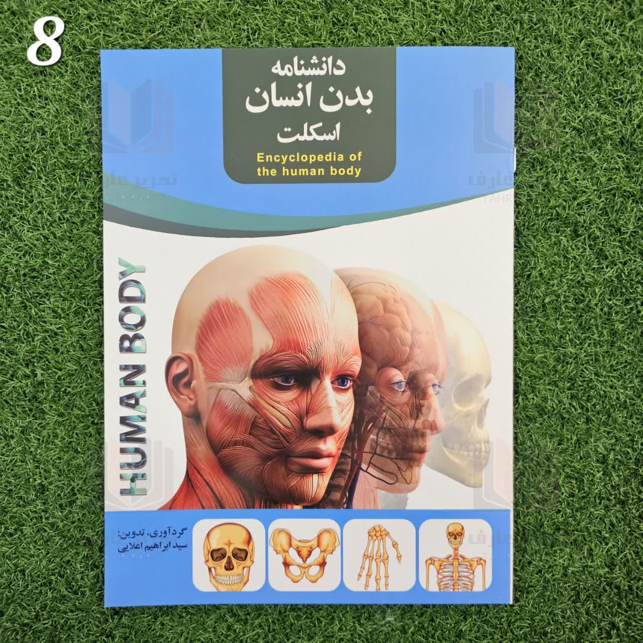 دانشنامه بدن انسان اسکلت 8