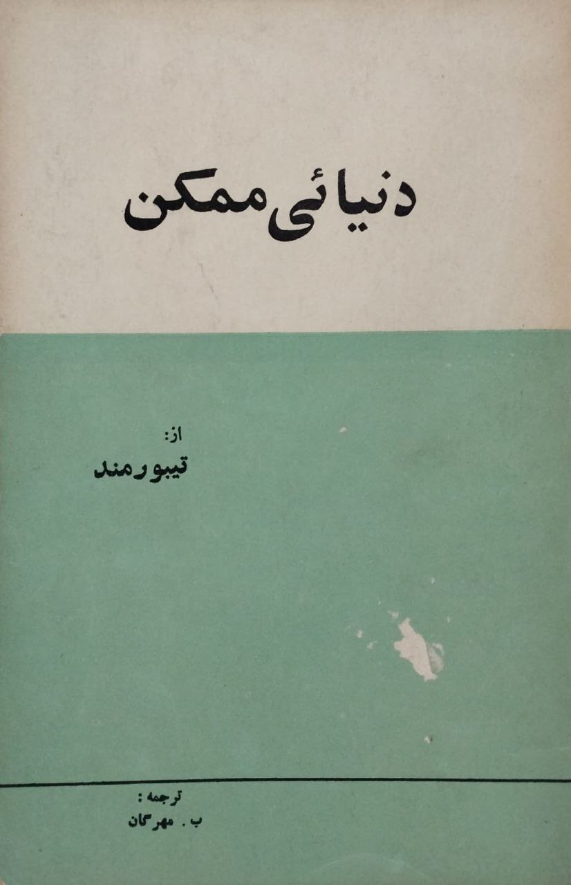 دنیائی ممکن
