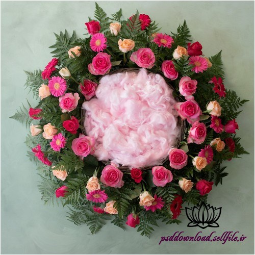 بک دراپ نوزاد سبد و گل رز و ژربرا -کد 4008 - اسمارت فایل