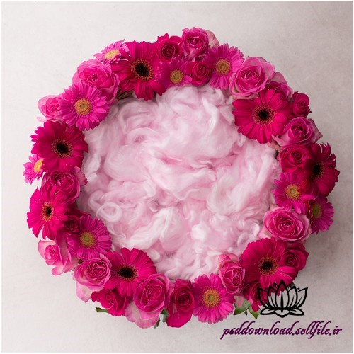 بک دراپ نوزاد سبد و ژربرای صورتی-کد 4006 - اسمارت فایل