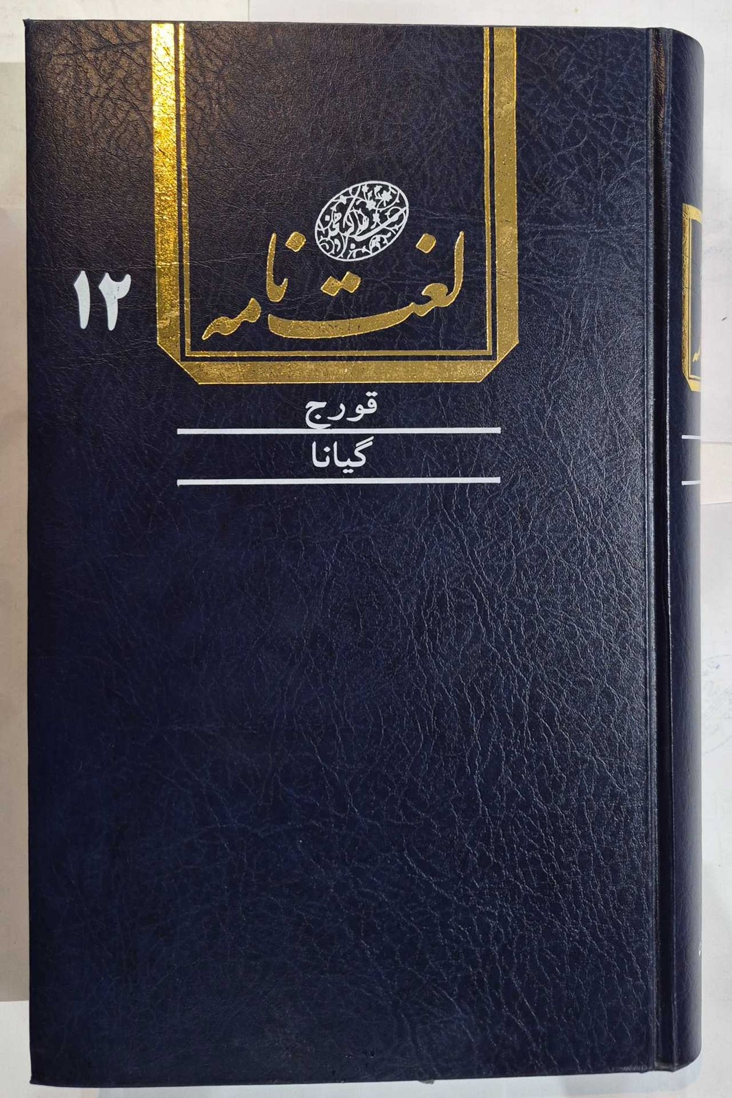 لغت نامه دهخدا (جلد دوازدهم)