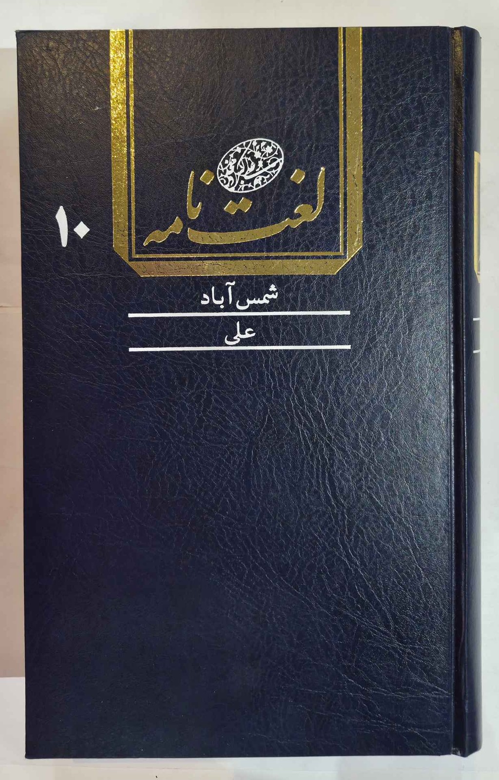 لغت نامه دهخدا (جلد دهم)