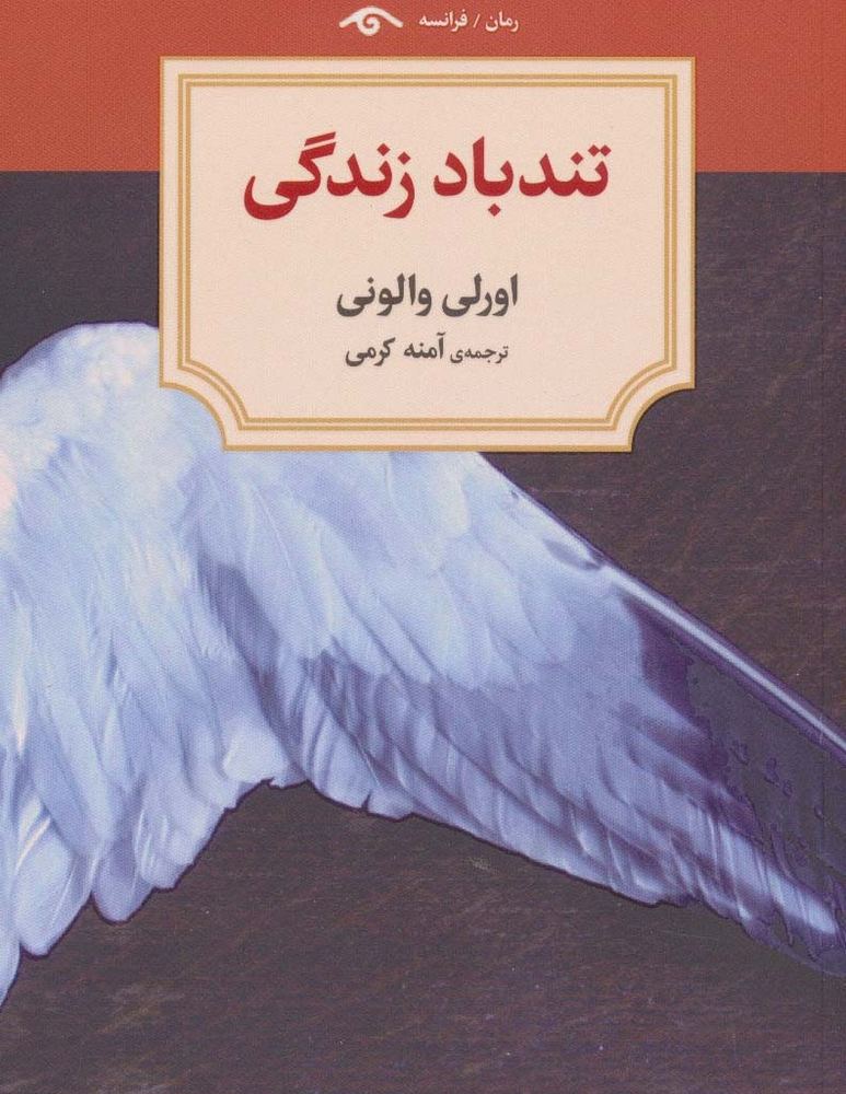 تندباد زندگی