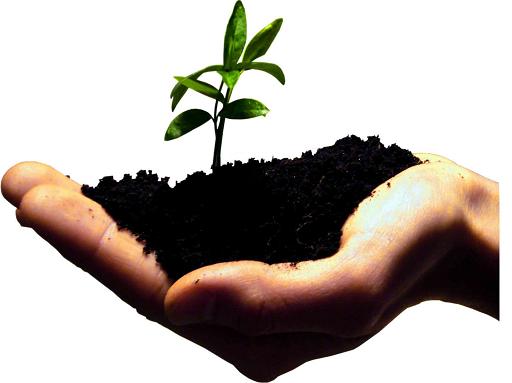 کسب درآمد خانگی با موسسه تبلیغاتی