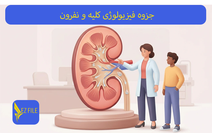 جزوه فیزیولوژی کلیه و نفرون