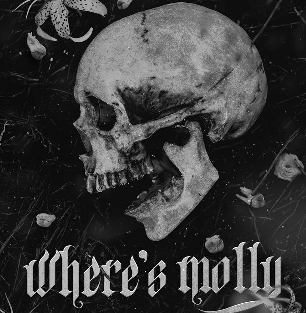 دانلود رمان Where’s Molly اثر H.D. Carlton زبان اصلی