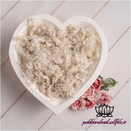 بک دراپ نوزاد قلب سپید و رز صورتی -کد 4687 - اسمارت فایل