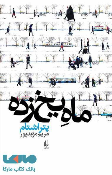 ماه یخ زده نشر افق