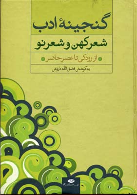 گنجینه ادب شعر کهن و شعر نو از رودکی تا عصر حاضر (فضل الله درویش)