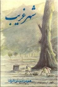 شهر غریب