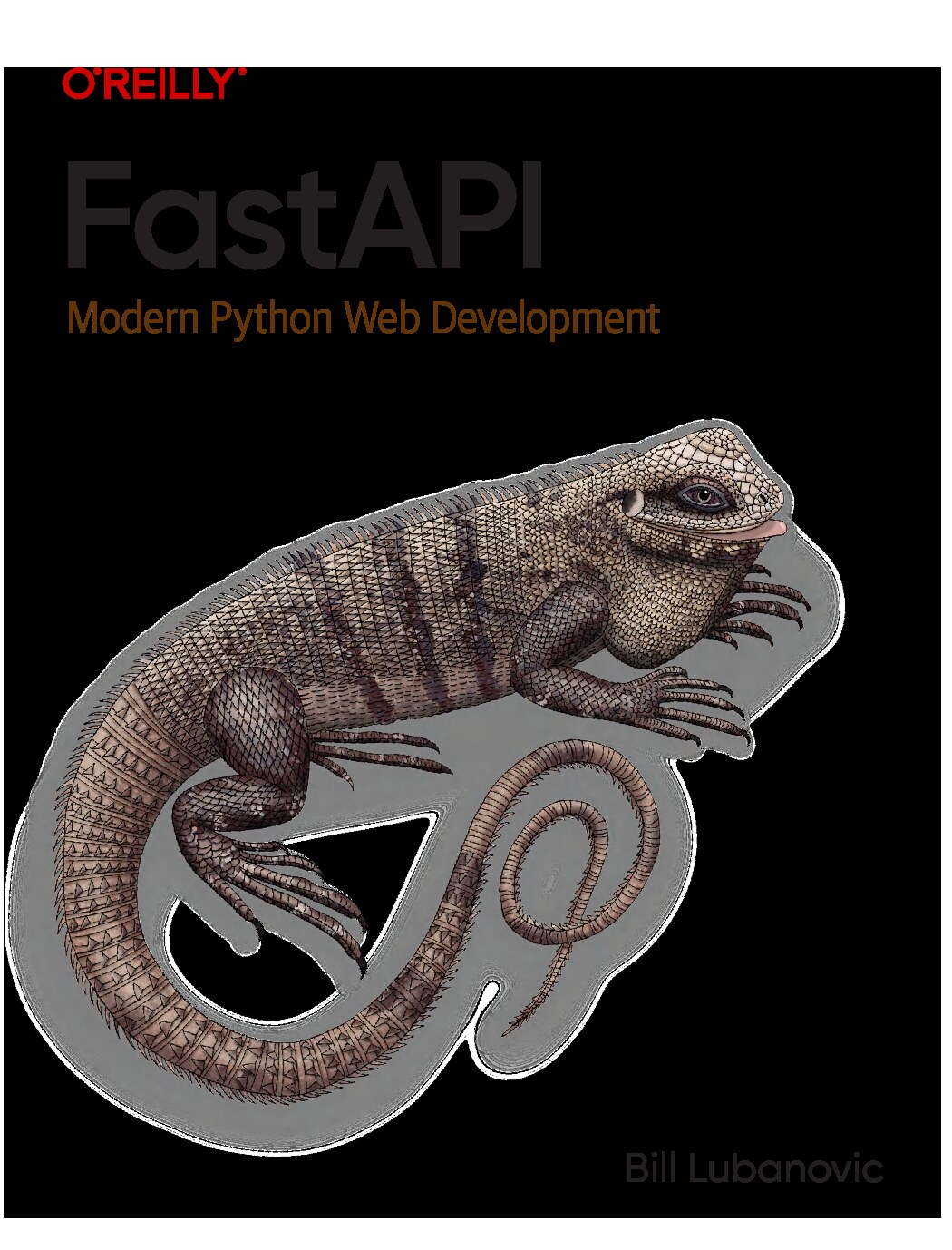 کتاب توسعه وب مدرن با پایتون – نسخه انگلیسی | FastAPI: Modern Python Web Development