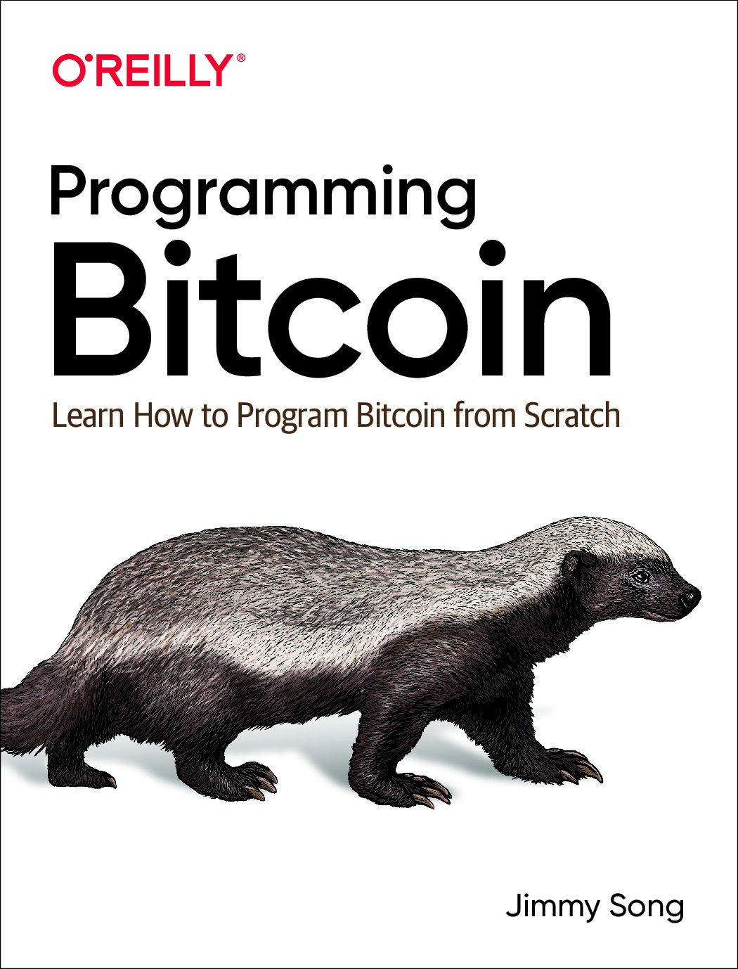 کتاب برنامه‌نویسی بیت‌کوین – نسخه انگلیسی | Programming Bitcoin: Learn How to Program Bitcoin from Scratch