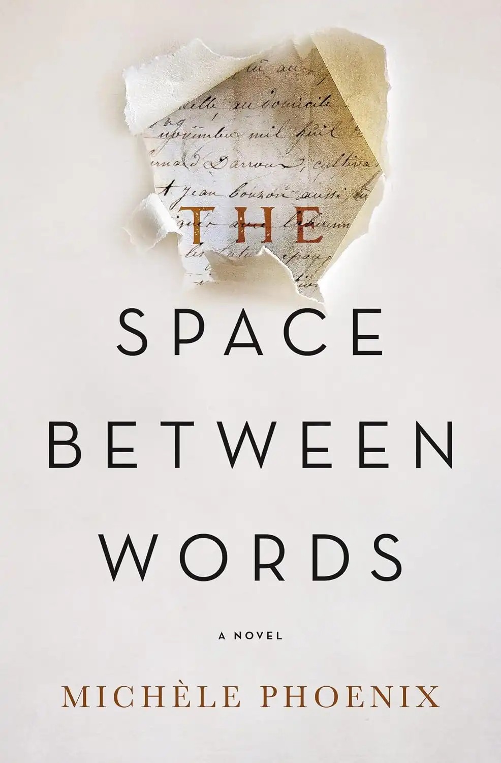 کتاب فضای میان کلمات (The Space Between Words) نسخه انگلیسی PDF | میشل فینیکس