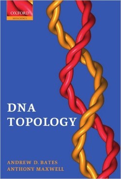 توپولوژی DNA
