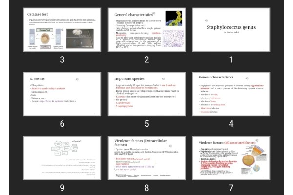 پاورپوینت Staphylococcus genus